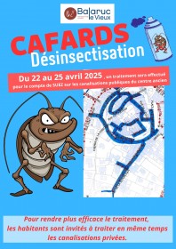 cafards2