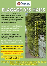 elagage-des-haies-version-15